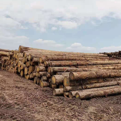 原木/板材