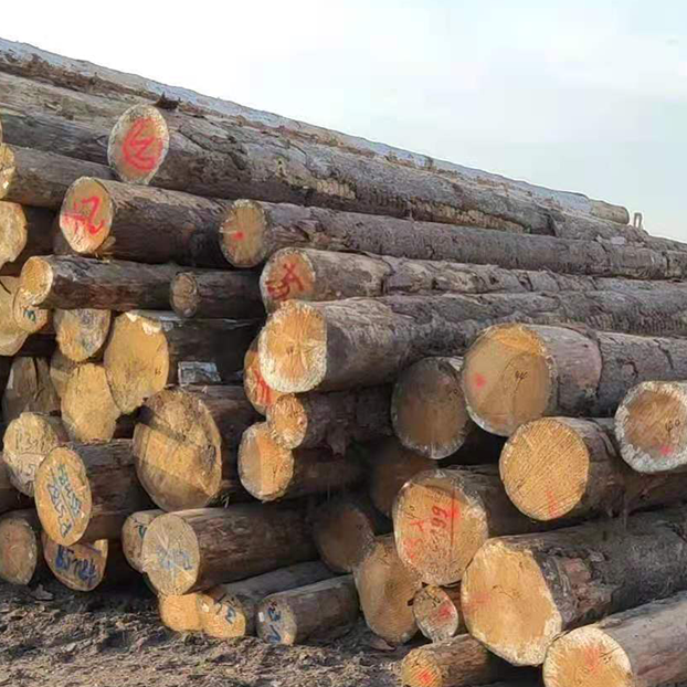 原木/板材