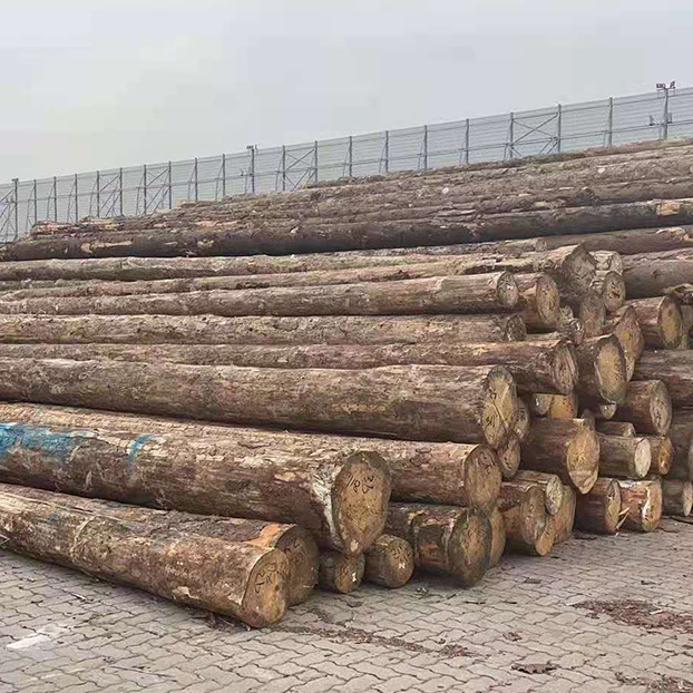 原木/板材