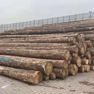 原木/板材