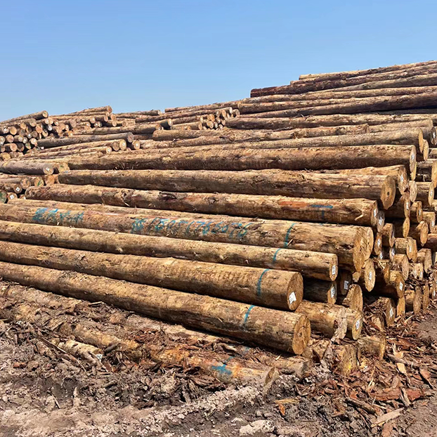 原木/板材