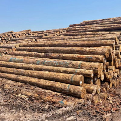 原木/板材